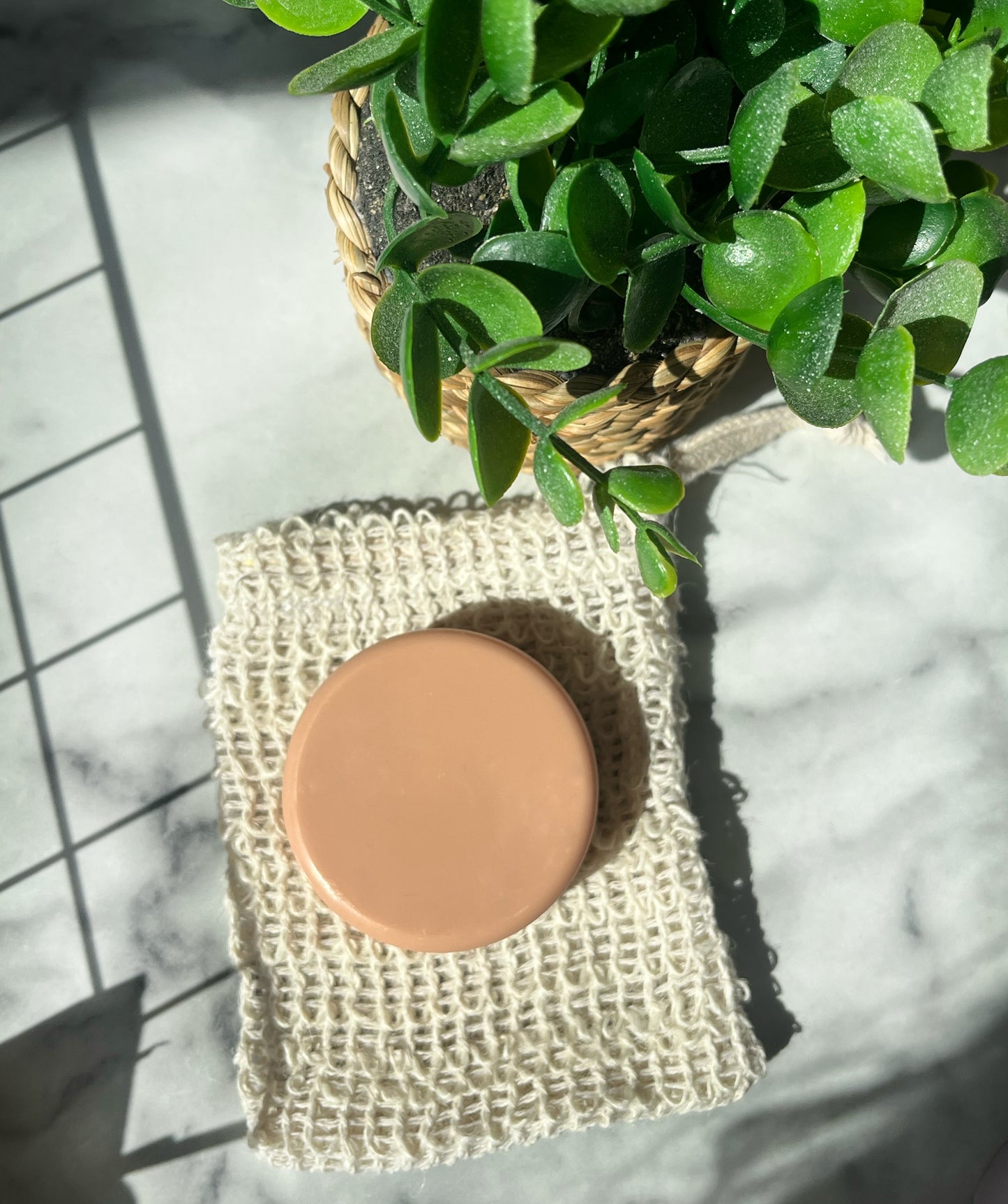 Coconut Vanilla Hand & Body Soap