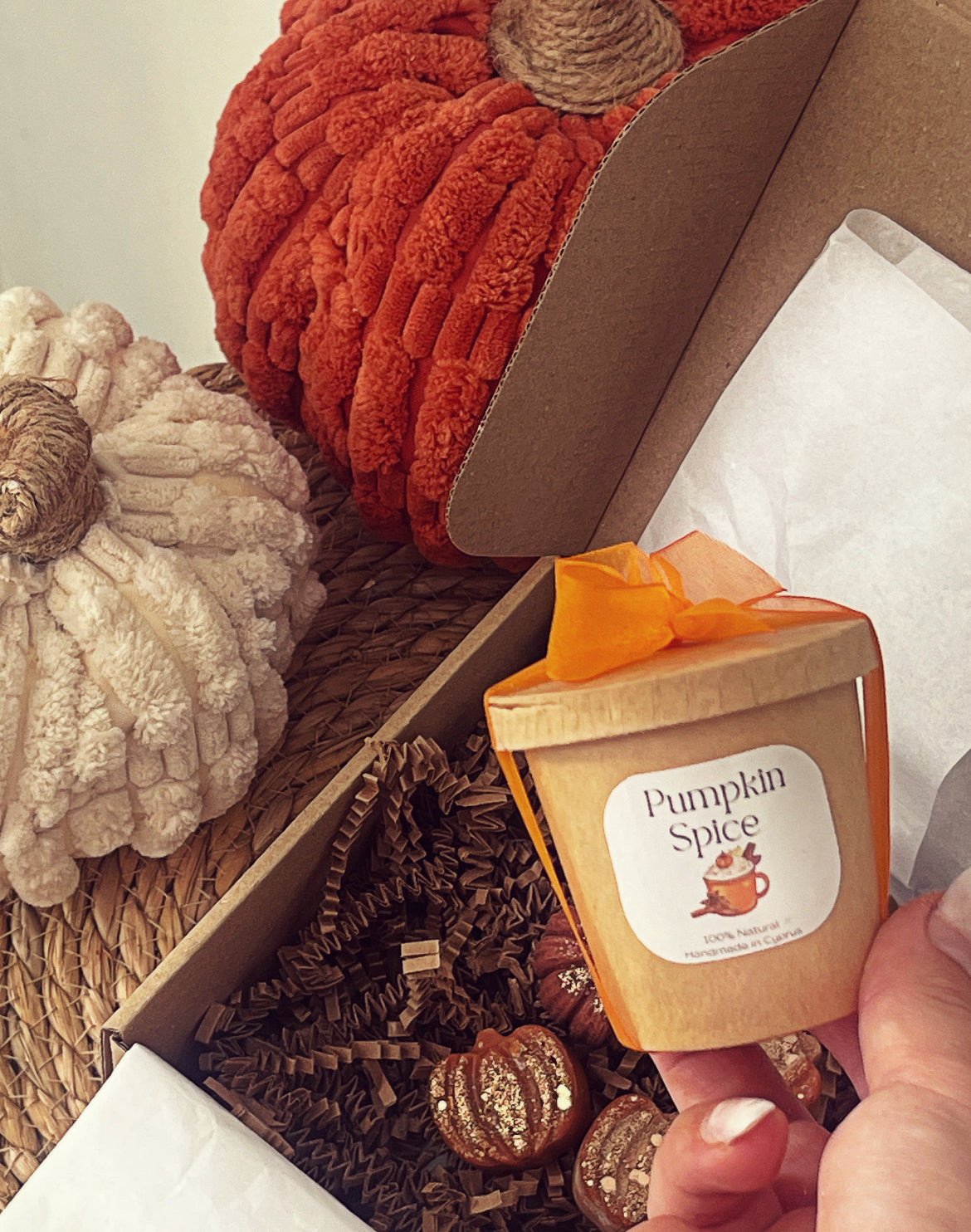 Pumpkin Spice Wax Melts-4 Pieces 🍁✨1 Box ✨🍁