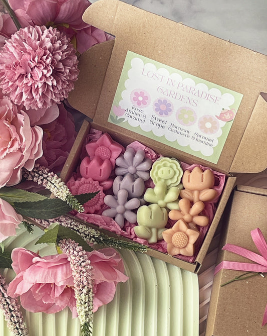 Lost in Paradise Wax Melts Box 🌸