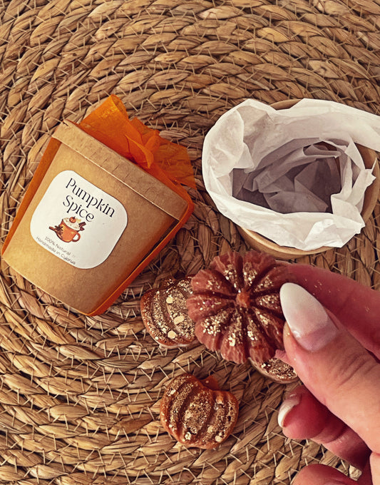 Pumpkin Spice Wax Melts-4 Pieces 🍁✨1 Box ✨🍁