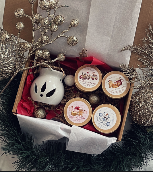Oil Burner & 4 Sets Of Christmas Wax melts