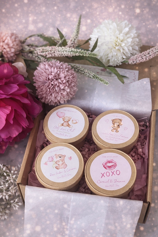 Set of 4 Wax Melt Boxes